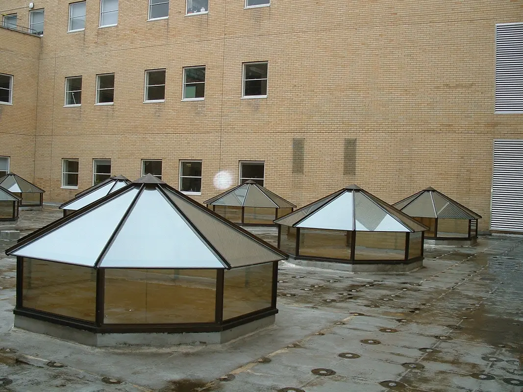 Flat Roof Skylights Battersea